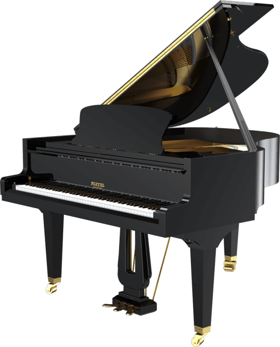 P204 Classic Black Glossy