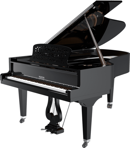 P204 Matisse Glossy Black